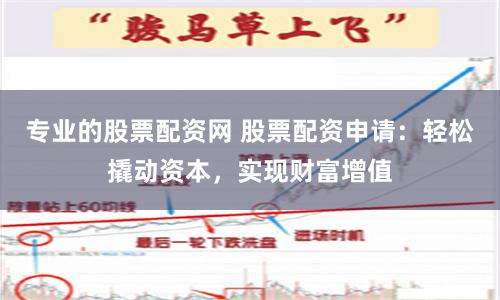 专业的股票配资网 股票配资申请：轻松撬动资本，实现财富增值