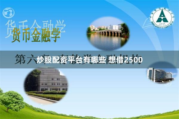 炒股配资平台有哪些 想借2500