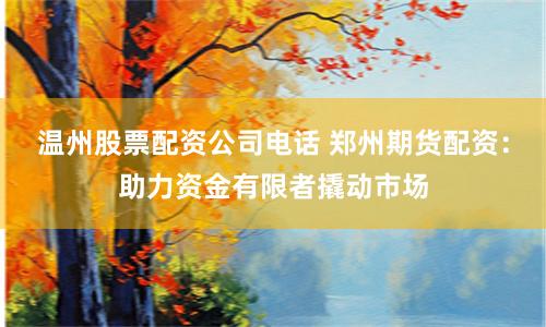 温州股票配资公司电话 郑州期货配资：助力资金有限者撬动市场