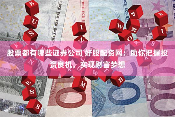 股票都有哪些证券公司 好股配资网：助你把握投资良机，实现财富梦想
